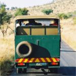 Guided Trip in Pilanesberg